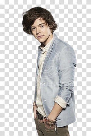 Harry Styles  Zip transparent background PNG clipart