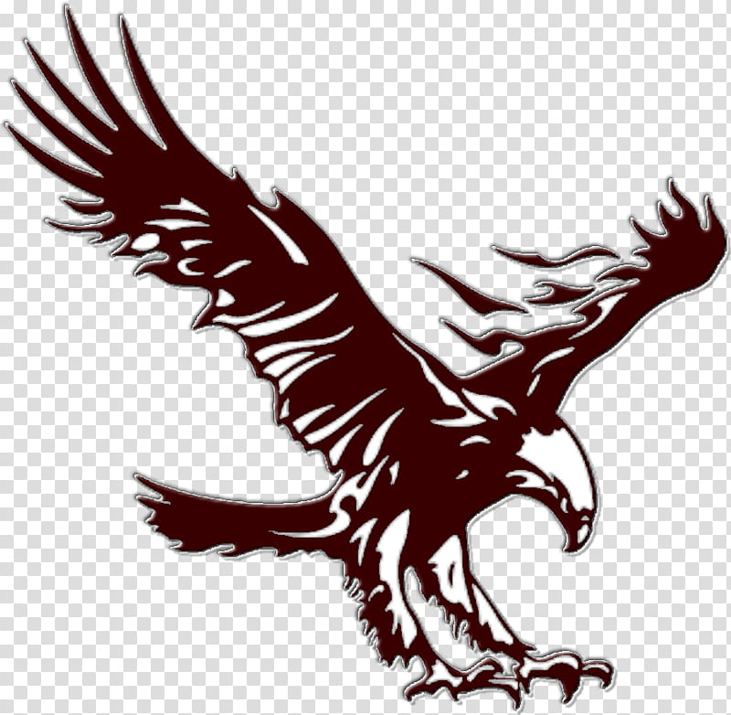 Sea Bird, Bald Eagle, Logo, Golden Eagle, Black Eagle, Silhouette, Bird Of Prey, Wing transparent background PNG clipart