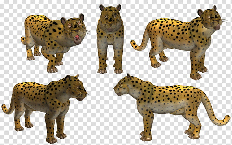Spore Creature: Amur Leopard transparent background PNG clipart