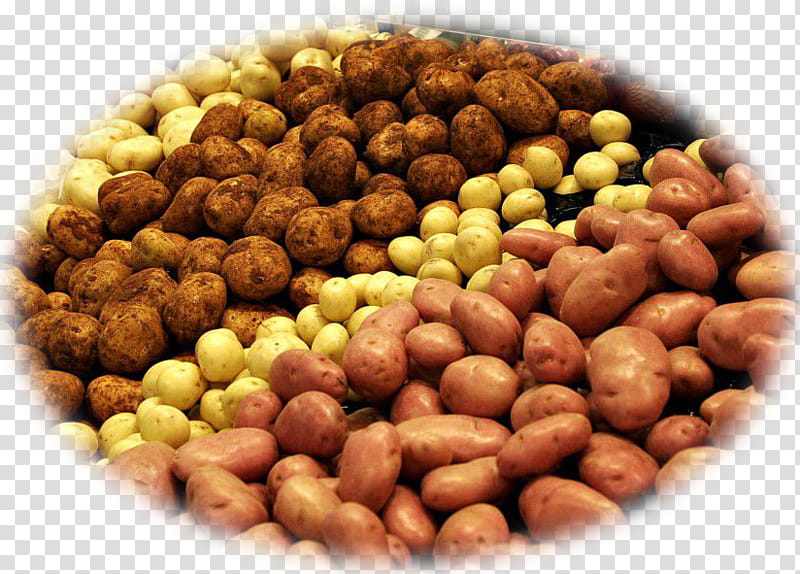 Potato, Hash Browns, Belarus, Vegetable, Plantbased Diet, Eating, Veganism, Food transparent background PNG clipart
