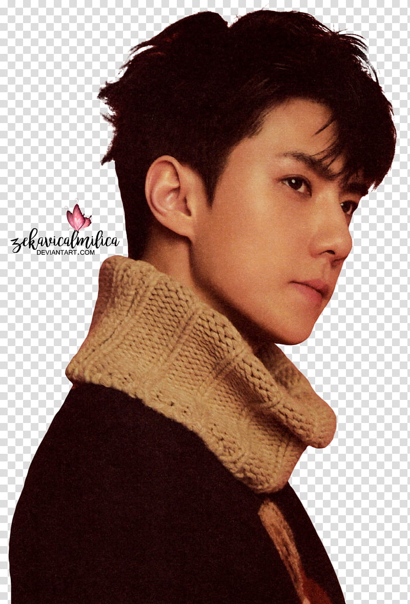 EXO Sehun  Season Greetings, EXO Sehun transparent background PNG clipart