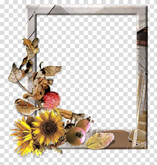 Background Flowers Frame, Window, Frames, Floral Design, Window Sill, Radio Elka, Cut Flowers, Fruit transparent background PNG clipart