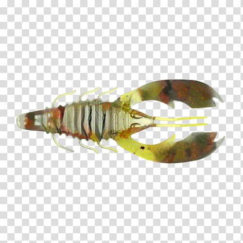 Fishing, Decapods, Fishing Bait, Insect, Pest, Membrane, Crayfish, Spiny Lobster transparent background PNG clipart