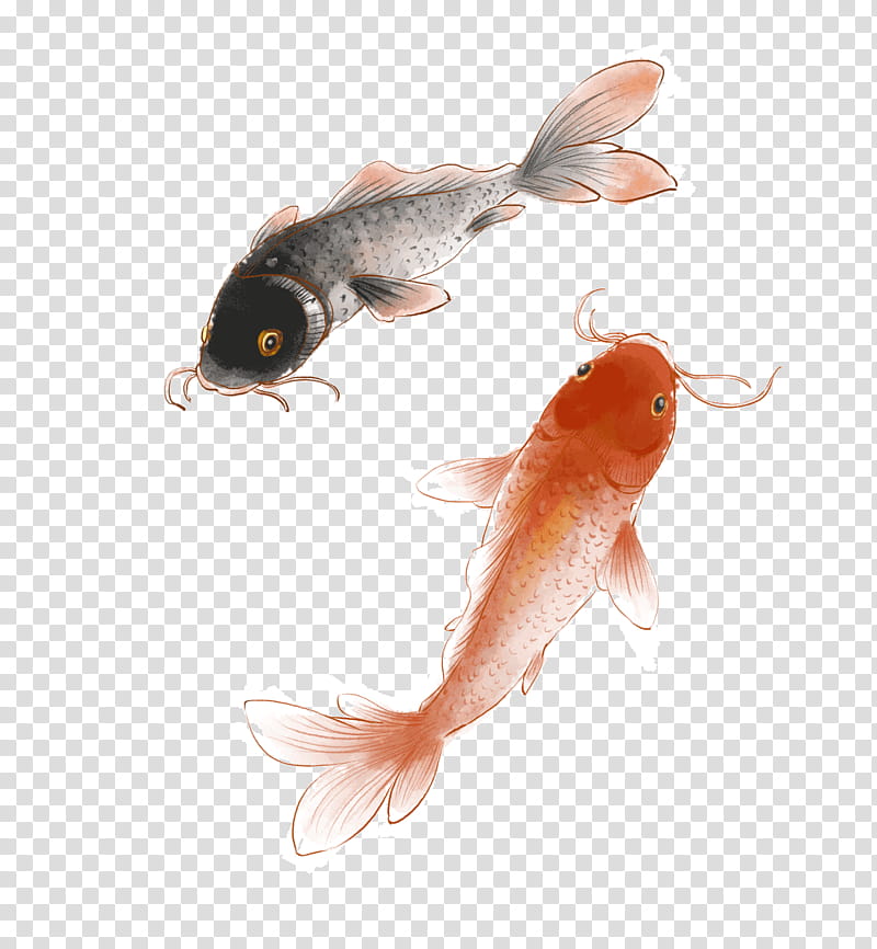 Chinese New Year Painting, Koi, Ink Wash Painting, Shan Shui, Inkstick, Common Carp, Fish, Orange transparent background PNG clipart