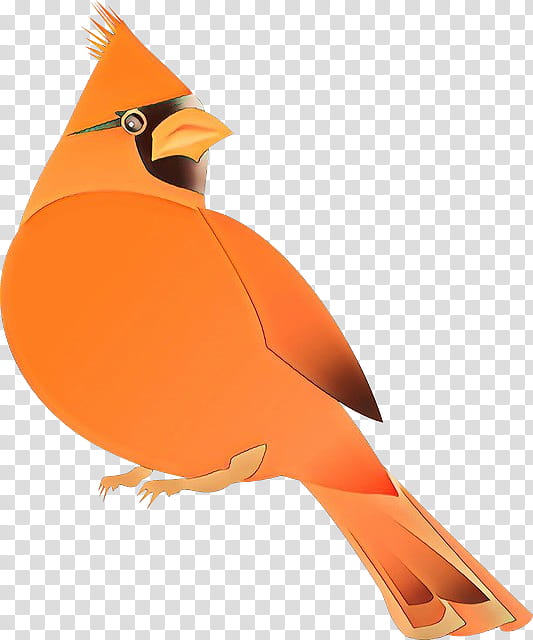 Orange, Cartoon, Bird, Beak, Songbird, Cardinal, Perching Bird transparent background PNG clipart