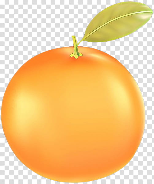 Orange, Cartoon, Fruit, Plant, Food, Leaf, Grapefruit, Tree transparent background PNG clipart