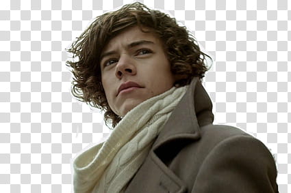 Harry Styles transparent background PNG clipart