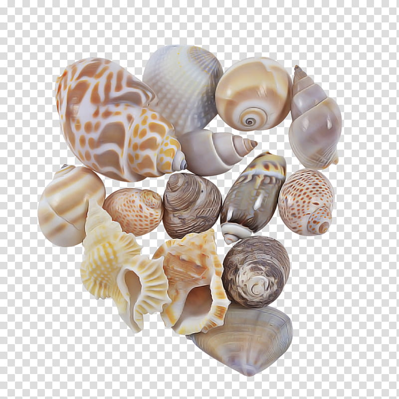 shell beige rock natural material bead transparent background PNG clipart