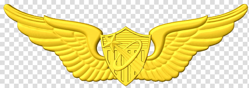 Astronaut, Aviator Badge, Aircraft Pilot, United States Astronaut Badge, United States Aviator Badge, Aircrew Badge, Yellow, Wing transparent background PNG clipart