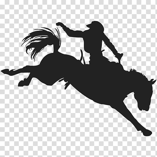 Bronc Riding Animal Sports, Bucking Horse, RODEO, Equestrian, Calf Roping, Silhouette, Bull Riding, Bareback Riding transparent background PNG clipart
