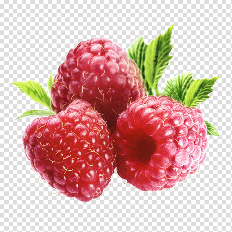 Indian Food, Raspberry, Fruit, Vegetable, Fruit Logistica, Raspberry Ketone, Berries, Mulberry transparent background PNG clipart