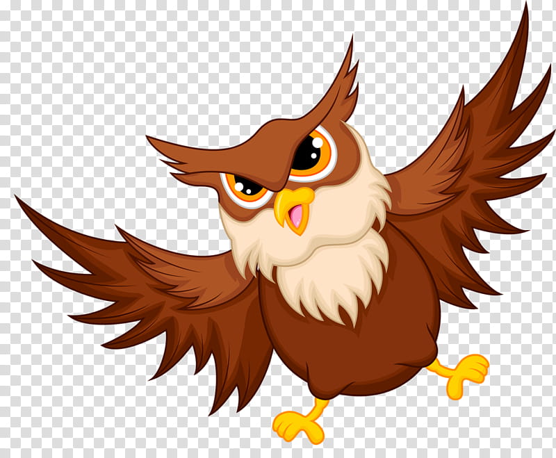 Eagle Drawing, Owl, Cartoon, Bird, Bird Of Prey, Animation, Eastern Screech Owl, Beak transparent background PNG clipart