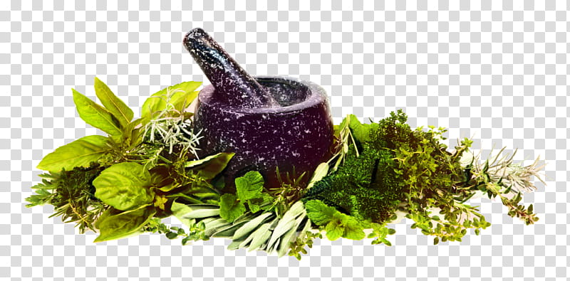 Medicine, Herb, Mortar And Pestle, Herbalism, Medicinal Plants, Ayurveda, Spice, Rosemary transparent background PNG clipart