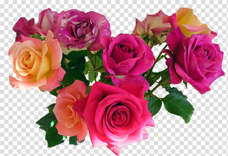 bouquet mixed roses, pink-petaled flower transparent background PNG clipart