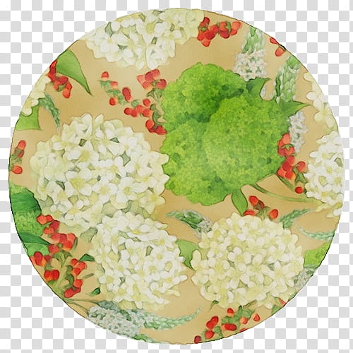 plate dishware green flower hydrangea, Watercolor, Paint, Wet Ink, Tableware, Plant, Hydrangeaceae, Viburnum transparent background PNG clipart