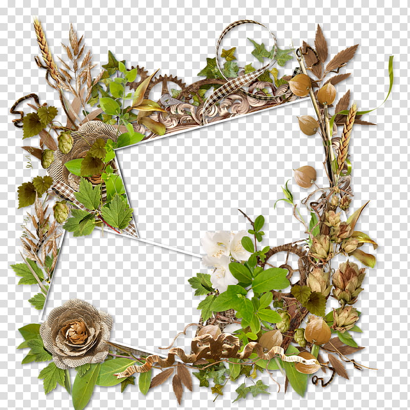 Background Flower Frame, Floral Design, Plant, Frame, Leaf, Twig, Branch, Interior Design transparent background PNG clipart