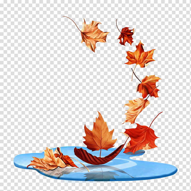 Autumn Leaf Drawing, Autumn Leaf Color, Japanese Maple, Maple Leaf, 2018, Tree, Plant, Flower transparent background PNG clipart