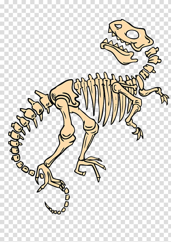 Dinosaur, Skeleton, Line Art, Tyrannosaurus, Animal Figure, EXTINCTION, Pachycephalosaurus, Wildlife transparent background PNG clipart
