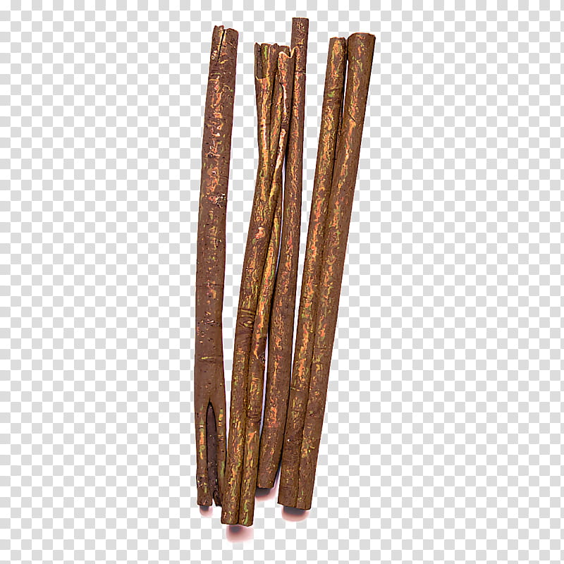 cinnamon stick wood cinnamon plant transparent background PNG clipart