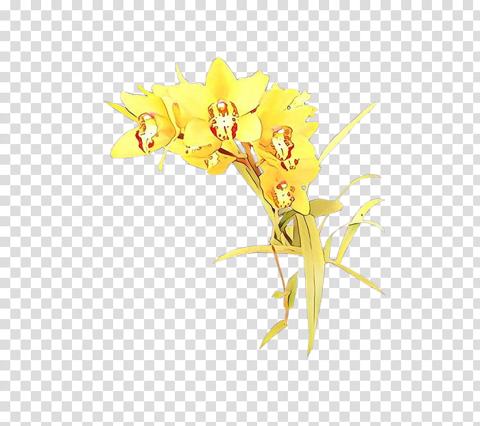 flower flowering plant yellow plant petal, Cartoon, Tagetes transparent background PNG clipart