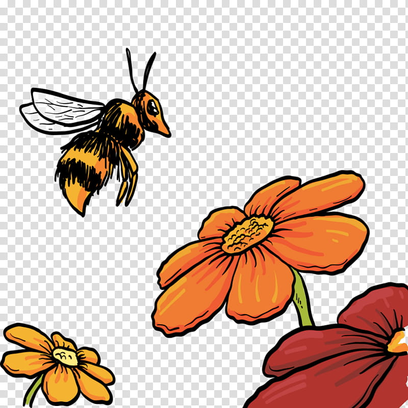 Flowers, Honey Bee, Nectar, Poster, Cartoon, Logo, Insect, Brush Footed Butterfly transparent background PNG clipart