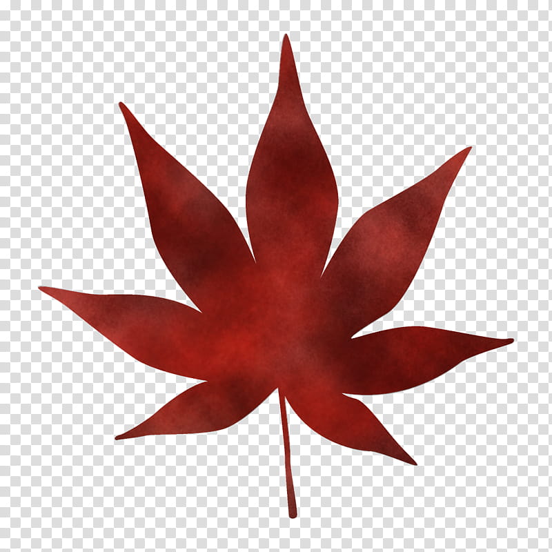 maple leaf autumn leaf fall leaf, Red, Plant, Tree, Sweet Gum, Flower transparent background PNG clipart