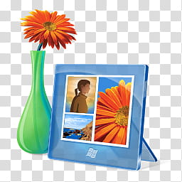 Blue Vista Icons Windows , Windows Galery, orange gerbera flower beside frame transparent background PNG clipart