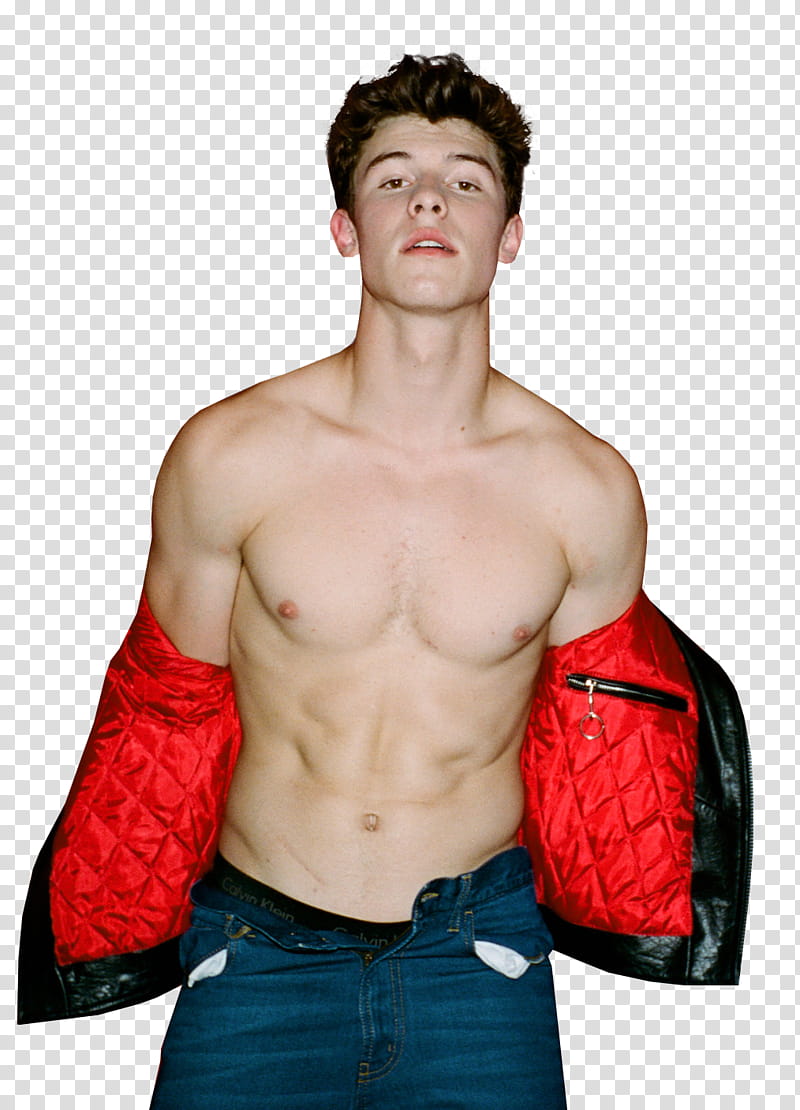 Shawn Mendes transparent background PNG clipart