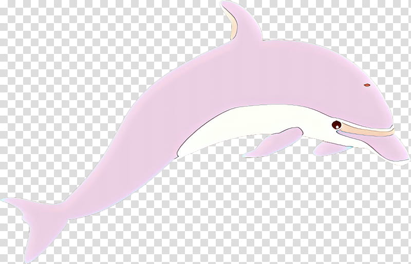 Pink, Dolphin, Pink M, Bottlenose Dolphin, Cetacea, Common Dolphins, Shortbeaked Common Dolphin transparent background PNG clipart