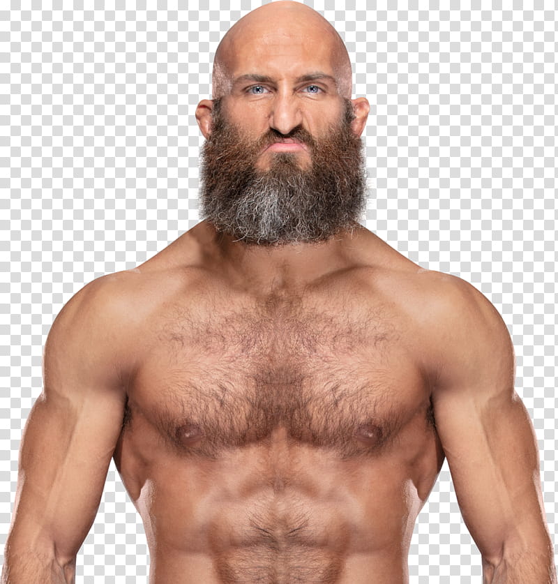 Tommaso Ciampa transparent background PNG clipart