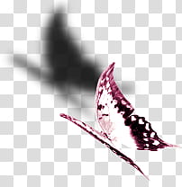 Butterfly  Free Reign Inspiration and Design, white and red butterfly illustration transparent background PNG clipart