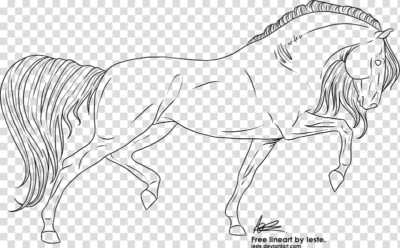 Free lineart trot, horse sketch transparent background PNG clipart