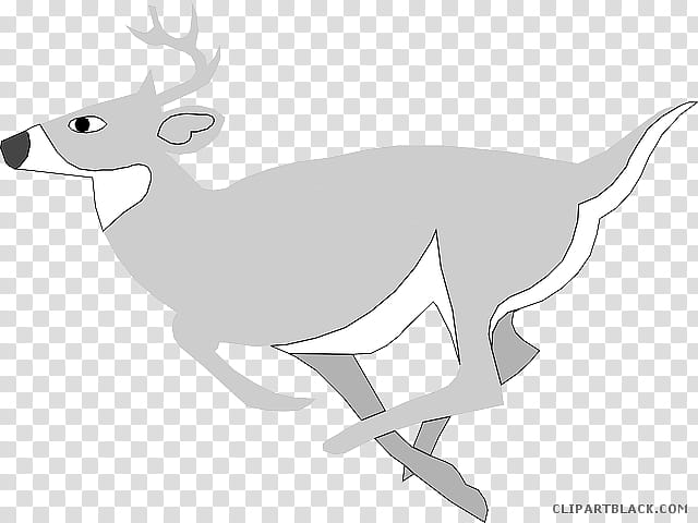 Kangaroo, Deer, Drawing, Reindeer, Whitetailed Deer, Line Art, Antler, Macropodidae transparent background PNG clipart