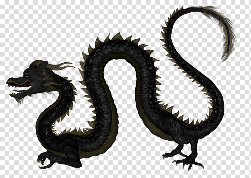 Asian Dragon , black dragon illustration transparent background PNG clipart