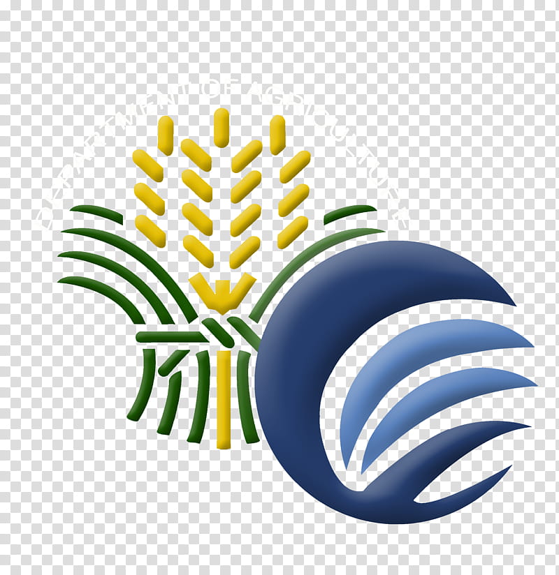 Coconut, Calabarzon, Department Of Agriculture, Department Of Agriculture Calabarzon, Philippine Coconut Authority, Agricultural Training Institute, United States Department Of Agriculture, Business transparent background PNG clipart