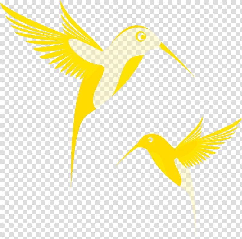 Google Logo, Hummingbird, Email, Beak, Gmail, Feather, Air Fresheners, Water Bird transparent background PNG clipart