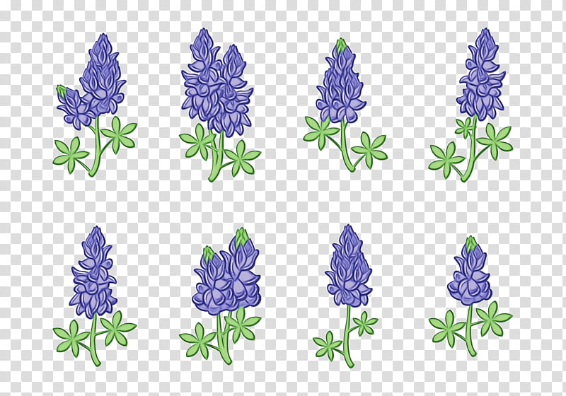 Goku Drawing, Bluebonnet, Flower, French Lavender, Violet, English Lavender, Texas Bluebonnet, Painting transparent background PNG clipart