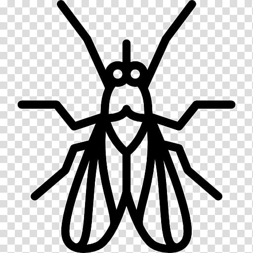 Black Line, Insect, Mosquito, Animal, Pest, Pest Control, Symmetry, Membranewinged Insect transparent background PNG clipart