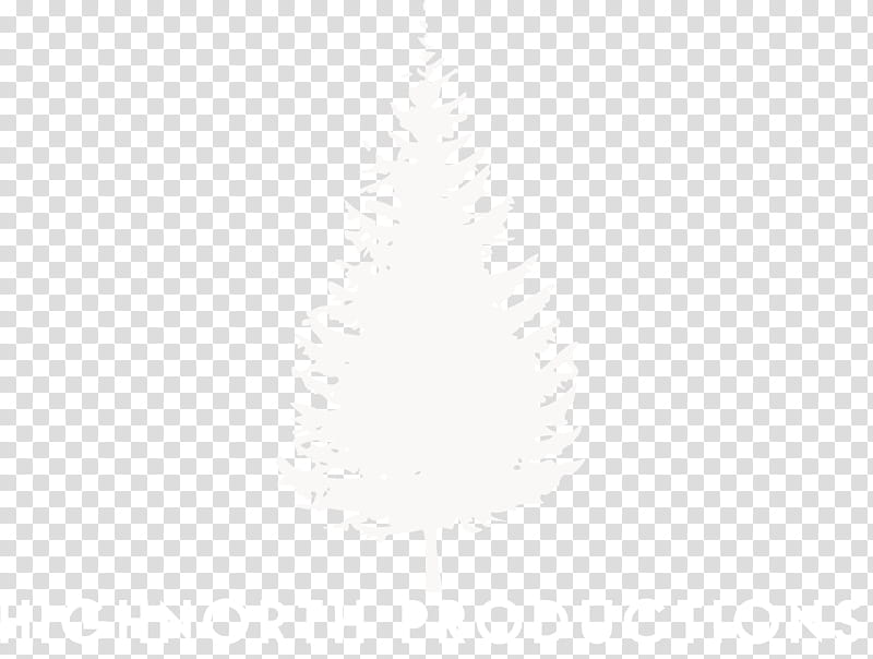 White Christmas Tree, Statute, Angus Cattle, Decret Llei, Restaurant, DECREE, Retail, Pine Family transparent background PNG clipart