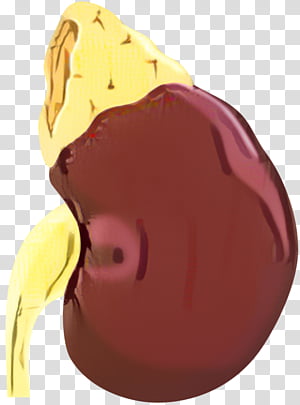 Yellow, Magenta, Nose transparent background PNG clipart thumbnail