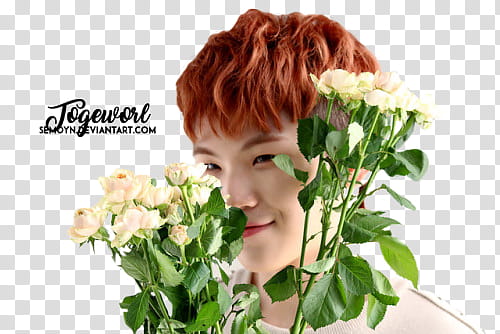 SEVENTEEN TEEN AGE SHOOT BEHIND, man in white top holding white petaled flowers transparent background PNG clipart