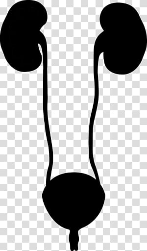 Line Blackandwhite, Silhouette transparent background PNG clipart thumbnail