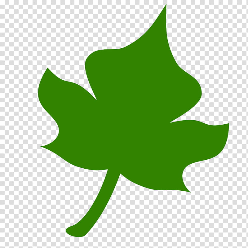 Ivy, Leaf, Green, Tree, Plant, Symbol, Logo transparent background PNG clipart