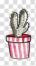 Cactus, black cactus in red pot transparent background PNG clipart