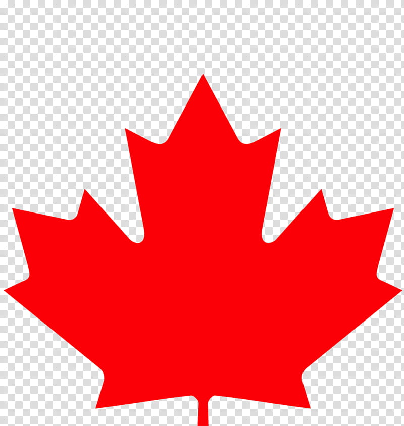 Canada Maple Leaf, Canada Day, Flag Of Canada, Tshirt, Canadian Gold Maple Leaf, Decal, Sticker, Zazzle transparent background PNG clipart