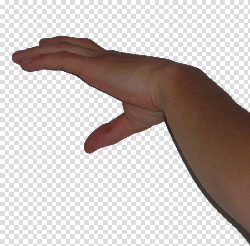 Hand s, left human hand transparent background PNG clipart