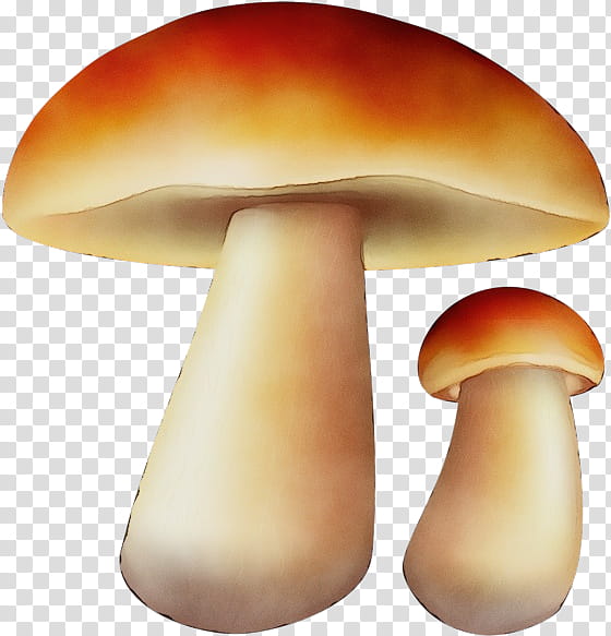 mushroom edible mushroom agaricomycetes penny bun fungus, Watercolor, Paint, Wet Ink, Agaricaceae, Bolete, Russula Integra, Agaricus transparent background PNG clipart