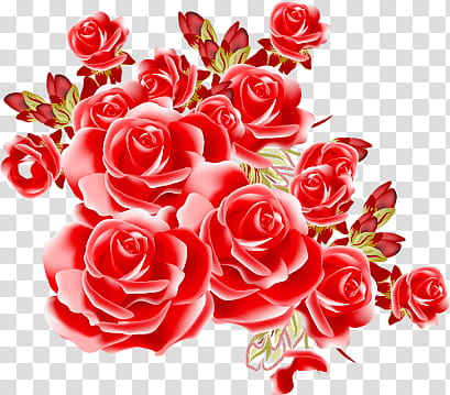 Red objects  , red roses illustration transparent background PNG clipart