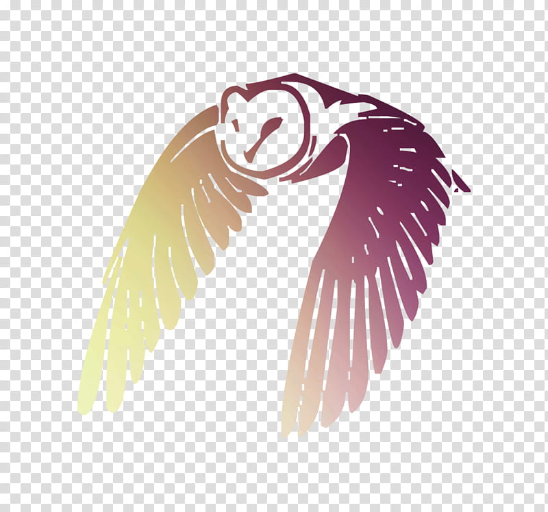 owl-bird-flight-feather-bird-of-prey-bar