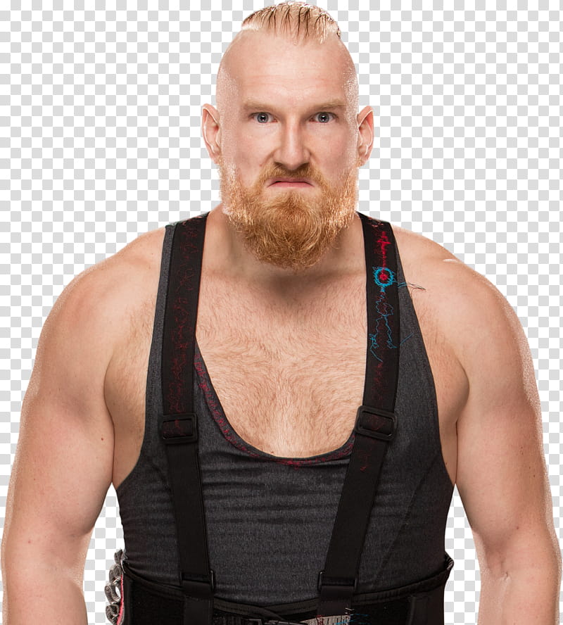 Alexander Wolfe NXT   transparent background PNG clipart
